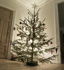 Mit juletræ