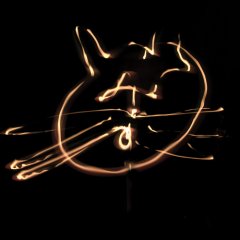 Kot/kat