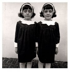Identical Twins